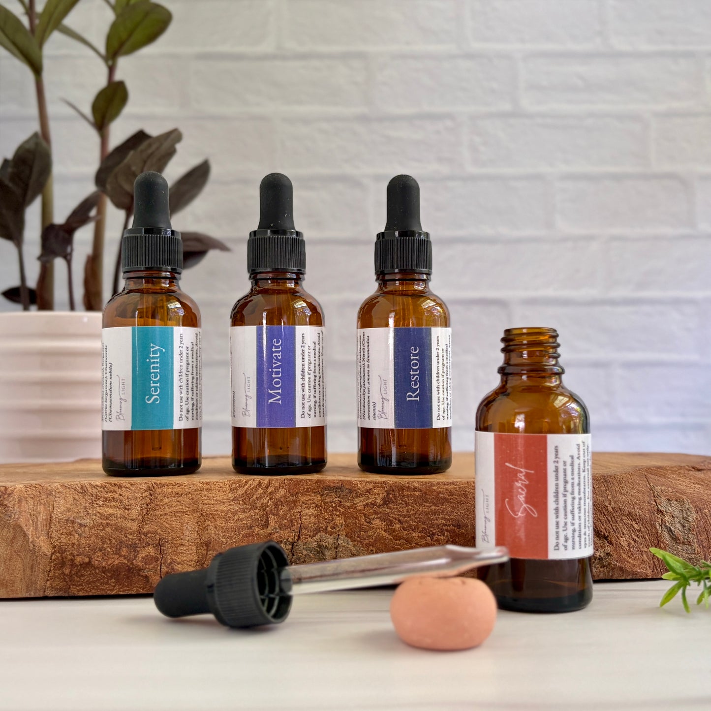 Professional Size Essential Oil Blends