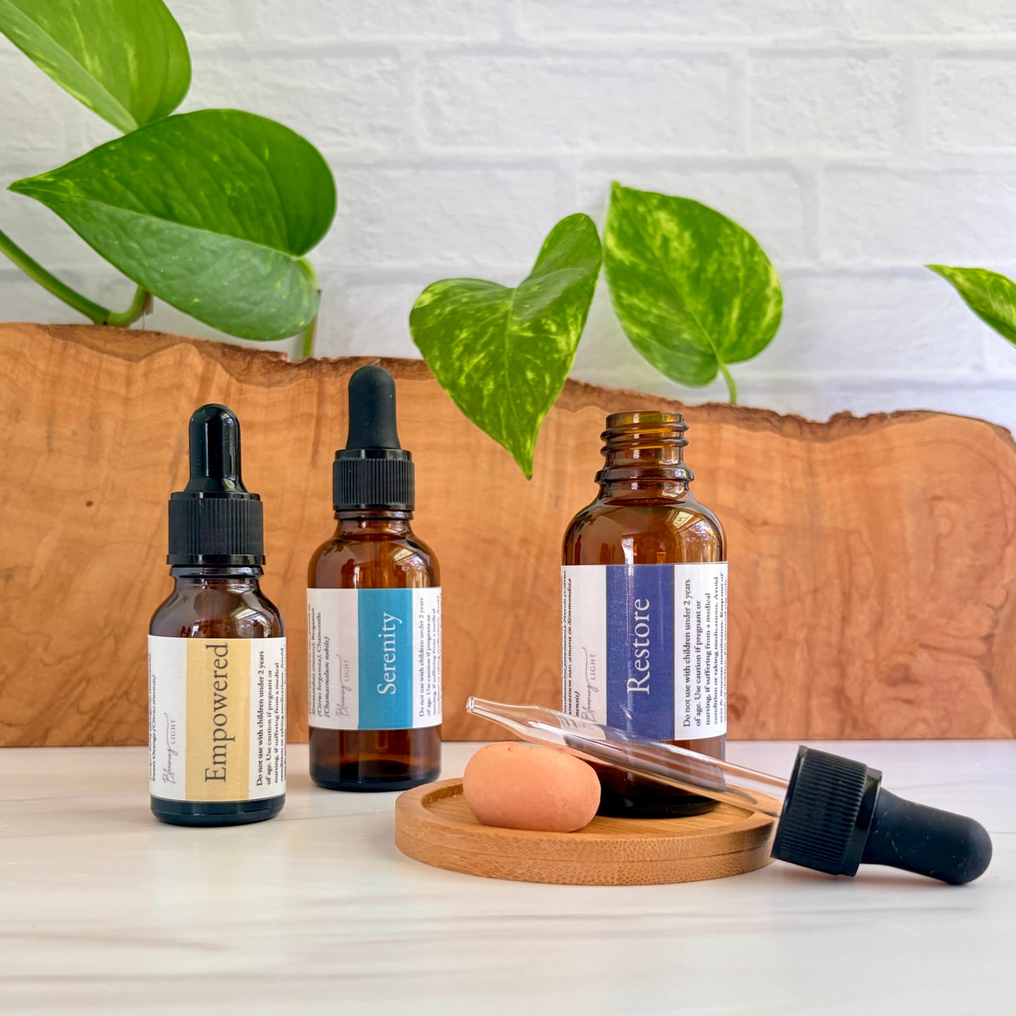 Professional Size Essential Oil Blends